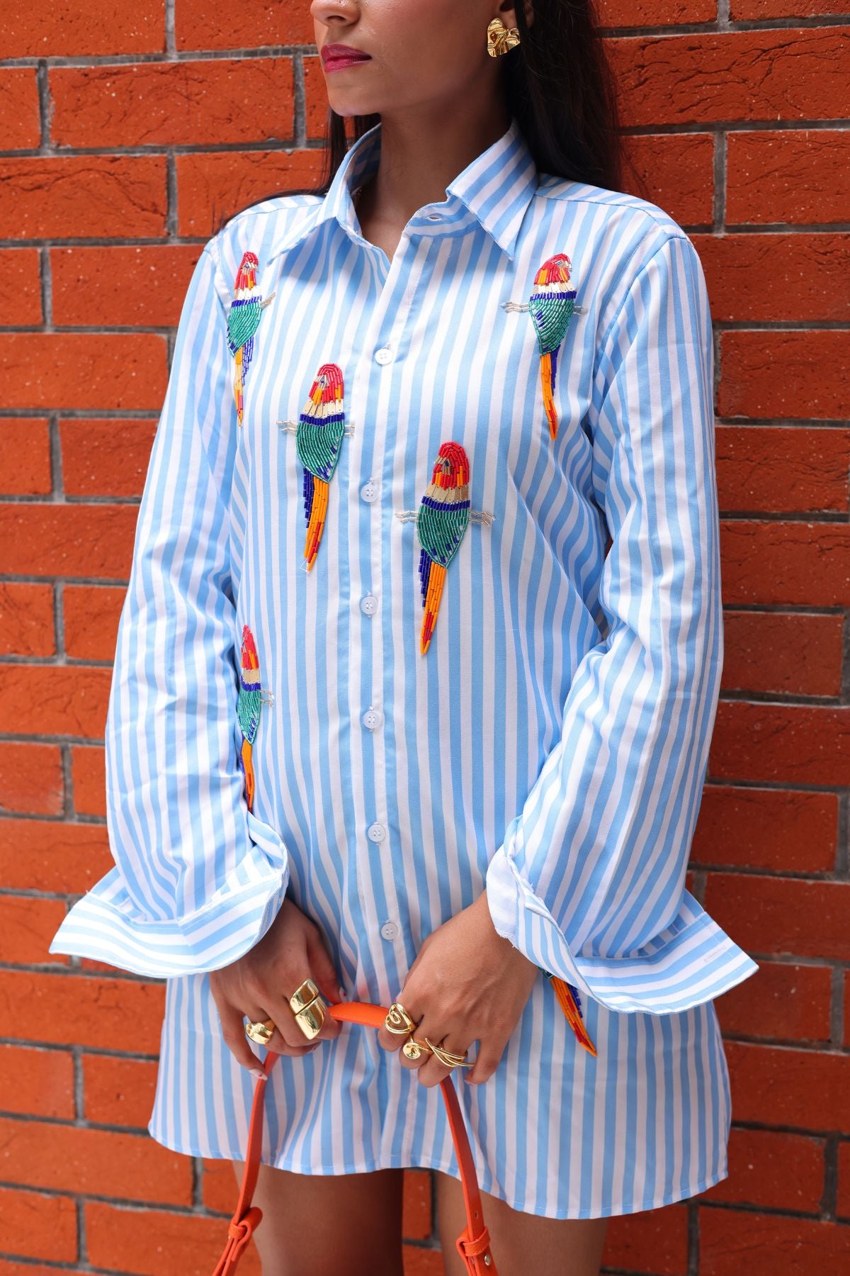 Coastal Wings Shirt Dress